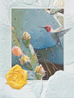 Cactus Flower | Hummingbird note cards