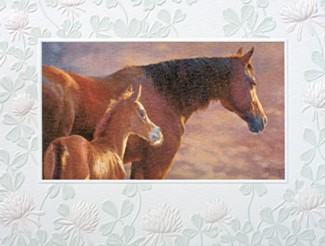 New Dawn | Horse lover boxed note cards