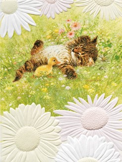 Kitten Dreams | Cat lover boxed note cards