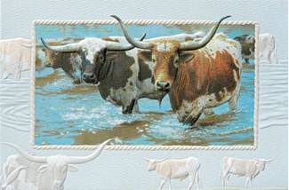 Crossing the Big Sandy | Cow lover greeting cards