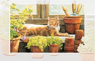 Greenhouse Window | Cat themed retirement cards, Made in the USA