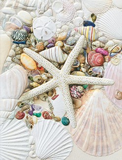 Shell Collection | Coastal themed blank notecards