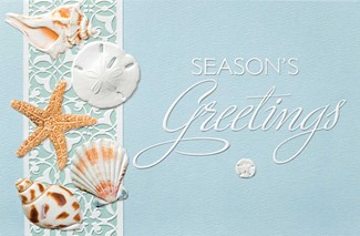 Sea Lover's Shells | Seashell themed Christmas cards