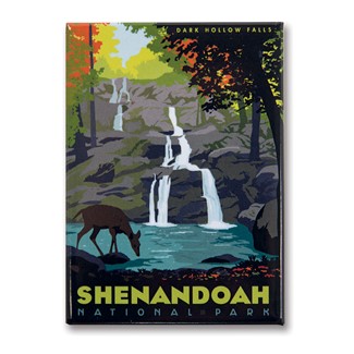 Shenandoah Dark Hollow Falls Magnet | Metal Magnet