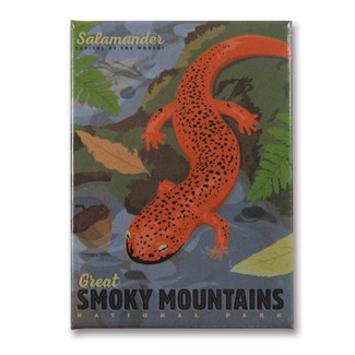 Great Smoky Salamander | Metal Magnet