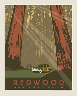 Redwood Print | 8" x10" Print