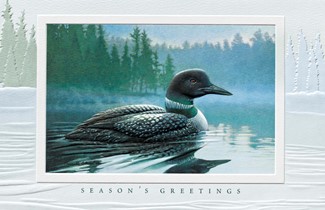Loon In Morning Mist | Lake themed boxed Christmas cards