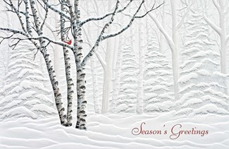 Serene View | Embossed boxed Christmas cards