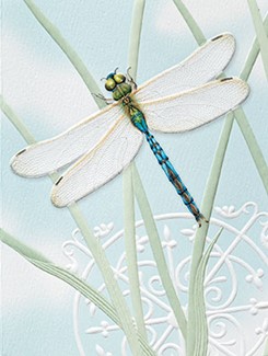 Dragonfly Jewel | Embossed boxed notes