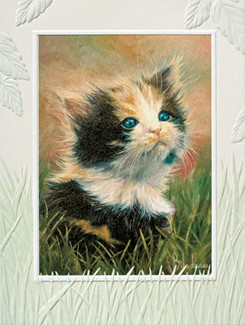 Simone | Kitten themed notecards