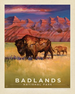 Badlands NP Bison 8" x 10" Print | 8" x 10" Print