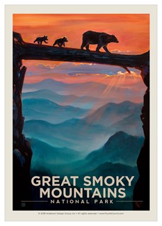 Great Smoky Bear Crossing Single Magnet | Tourist Courts