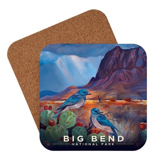 Big Bend NP Desert Perch Coaster | Made in the USA