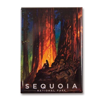 Sequoia Nature's Cathedral Magnet | Metal Magnet