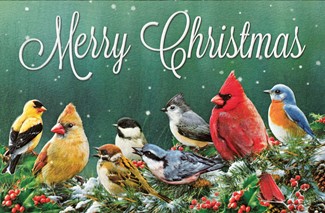 Merry Christmas Birds | Songbirds Christmas cards