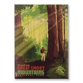 Great Smoky Old Growth Forests Magnet | Metal Magnet