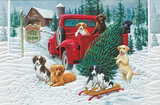 Pick-Up Puppies | Cat lover boxed Christmas cards
