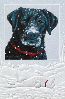 New Snow | Cat lover boxed Christmas cards
