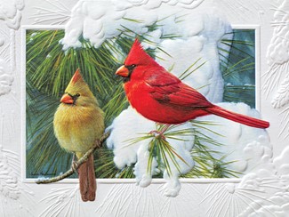 Candid Cardinals II | Embossed songbird Christmas cards