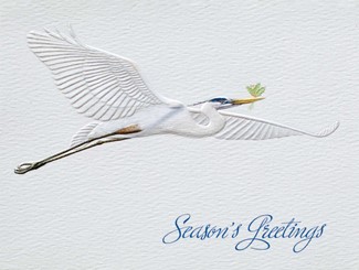 Blue Heron Holly | Embossed seashell greeting cards