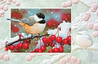 Chick-a-berry Berry | Bird themed boxed Christmas cards