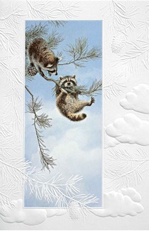 Double Trouble | Raccoon birthday greeting cards