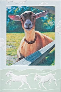 Hey Kid | Goat embossed greeting cards