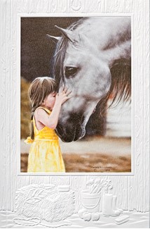 The Kiss | Horse greeting cards