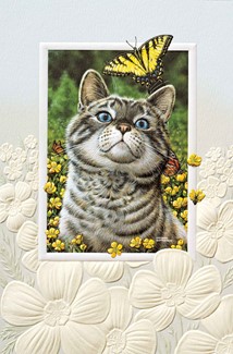 Buttercup | Cat birthday cards