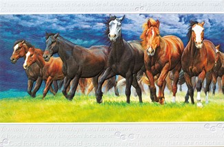 Storm Front | Horse lover embossed greeting cards