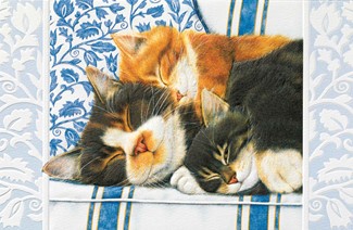 Sleepy Kitties | Cat lover embossed birthday greeting cards