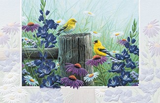 Goldfinch Meadow | Bird themed birthday greeting cards