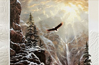High Soaring Eagle | Wildlife birthday cards