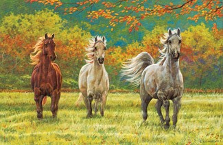 Autumn Meadow | Horse greeting cards