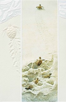 Finding the Way | Sea turtle greeting cards