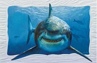 Smiley Shark | Shark greeting cards
