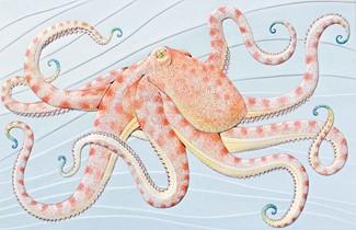 Opulent Octopus | Sealife birthday greeting cards