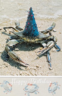 Party Crab | Sealife themed birthday cards