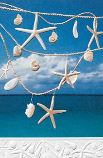Beach Bright | Seashell themed birthday cards
