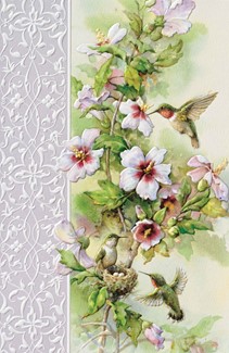 Ruby-throat Hummingbirds | Hummer greeting cards