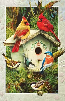 Heart of Pine | Birdhouse greeting cards