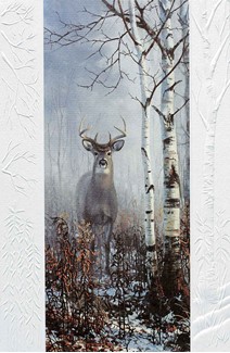 Birch Buck | Deer embossed inspirational birthday cards
