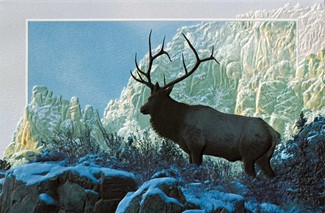 Top of the World | Elk on mountain greeting cards