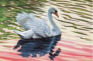 Swan Serenade | Encouragement greeting cards