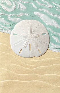 Ocean Currency | Sand dollar greeting cards