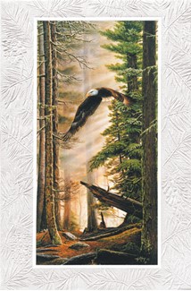 Bald Eagle | Bald Eagle inspirational greeting cards