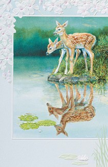 Fawns in Reflection | Wildlife embossed inspirational greeting cards