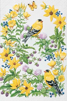 Goldfinch in Thistle | Songbird friendship cards
