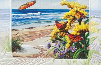 Fire Island Monarchs (GW) | Get Well greeting cards