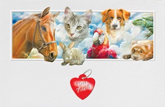Our Best Friends | Pet lovers sympathy cards